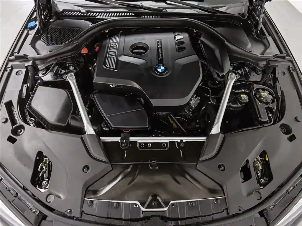 BMW 5 Series 5 2020 525Li Luxury
