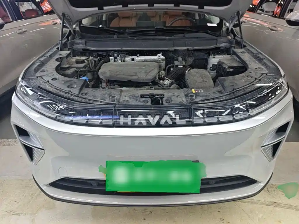Haval Xiaolong MAX — миниатюра 20