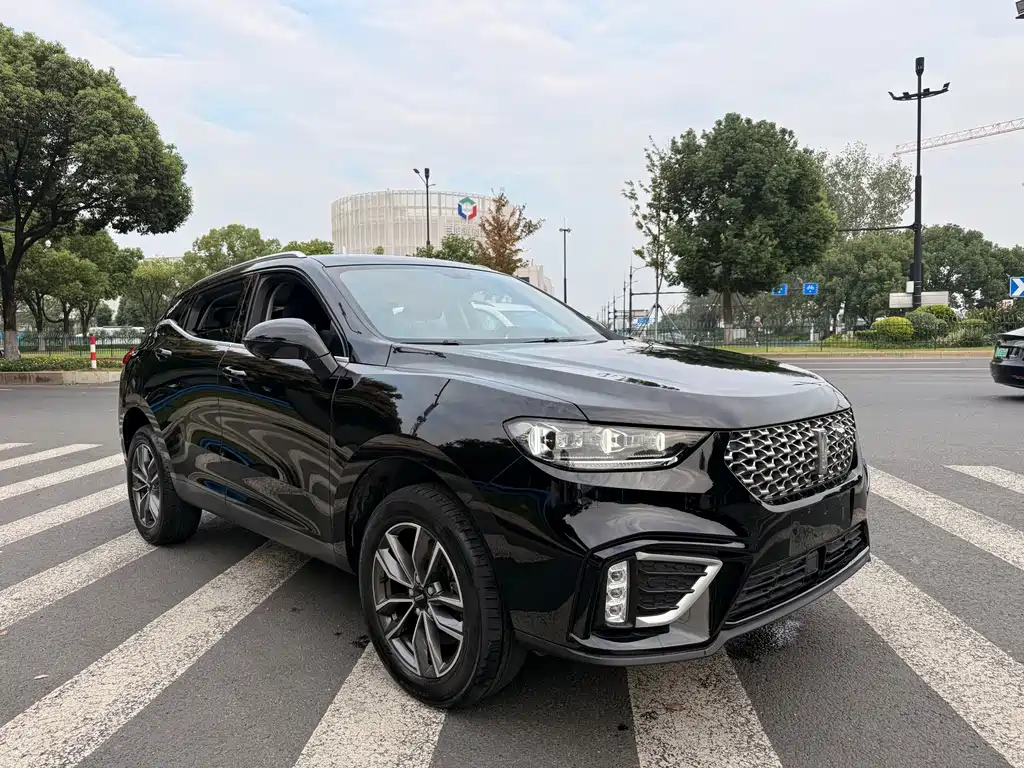 Wey Wey VV5 — миниатюра 3