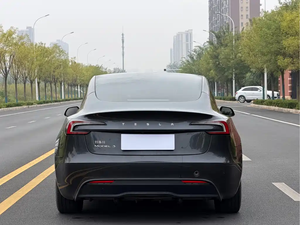Tesla Model 3 — миниатюра 5