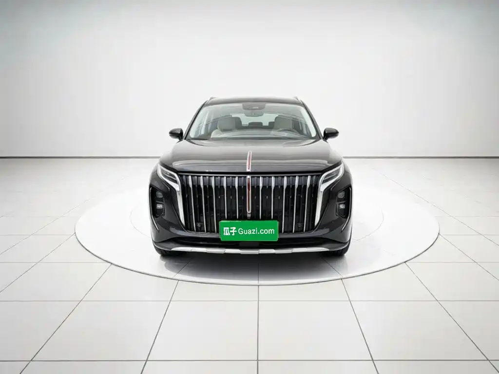 Hongqi Hongqi HS7 PHEV — миниатюра 2