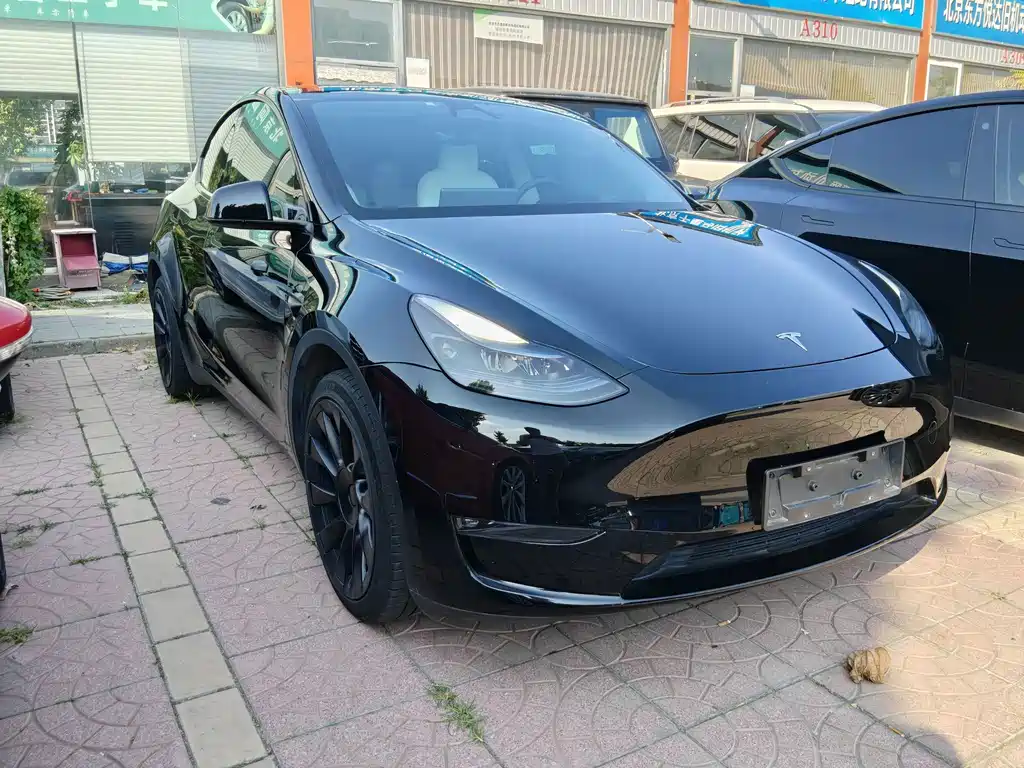 Tesla Model Y — миниатюра 2