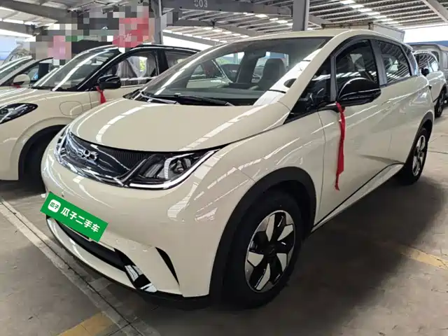 2026 BYD Dolphin