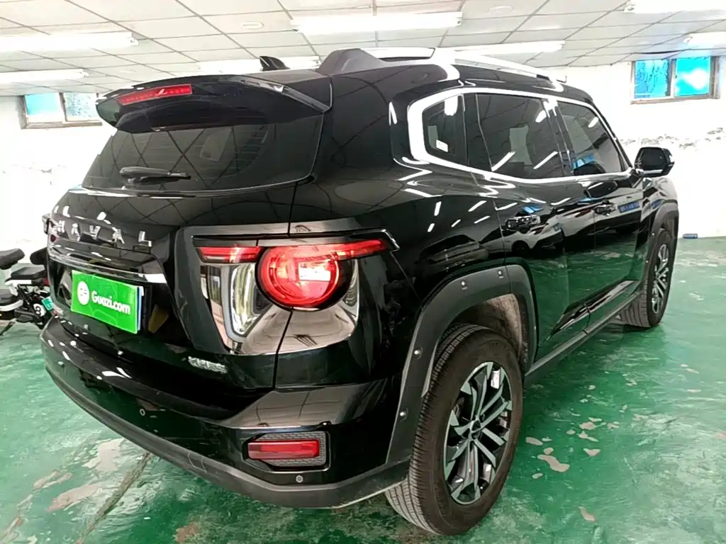 Haval Big Dog PLUS — миниатюра 7
