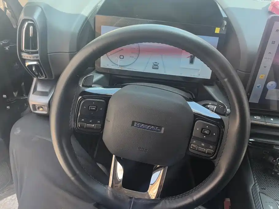 Haval Big Dog PLUS — миниатюра 14