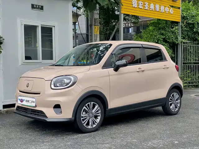 2021 Leapmotor T03