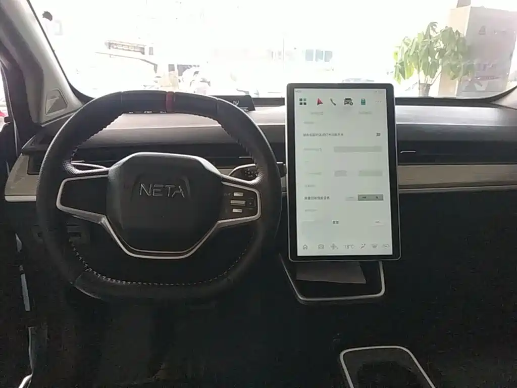 Neta Neta V — миниатюра 10