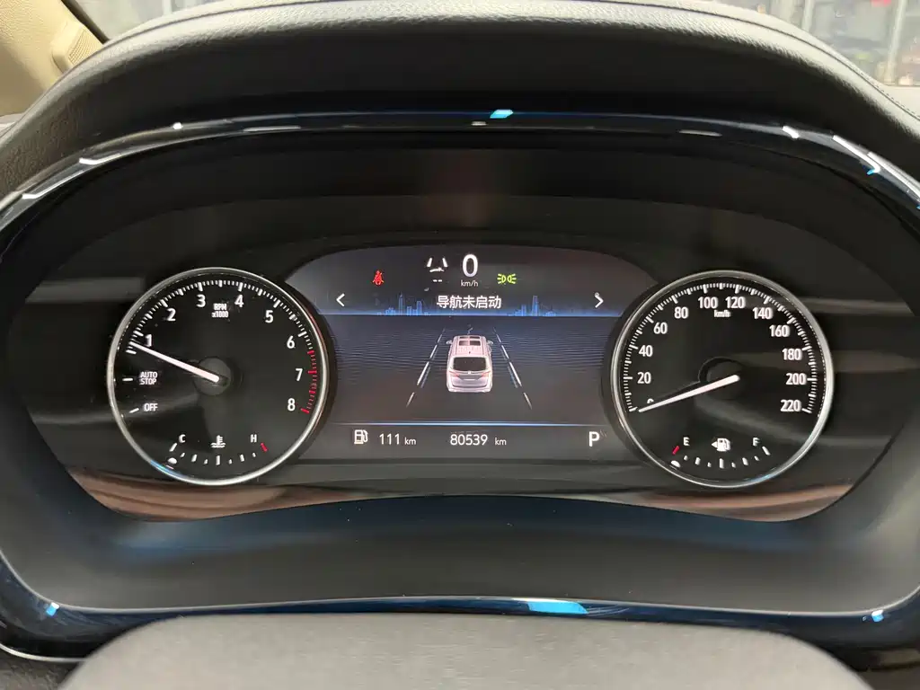 Buick GL8 — миниатюра 12