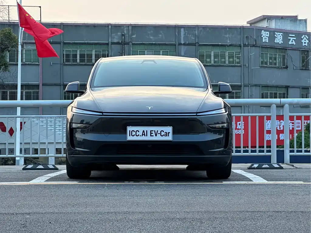 Tesla Model Y — миниатюра 2