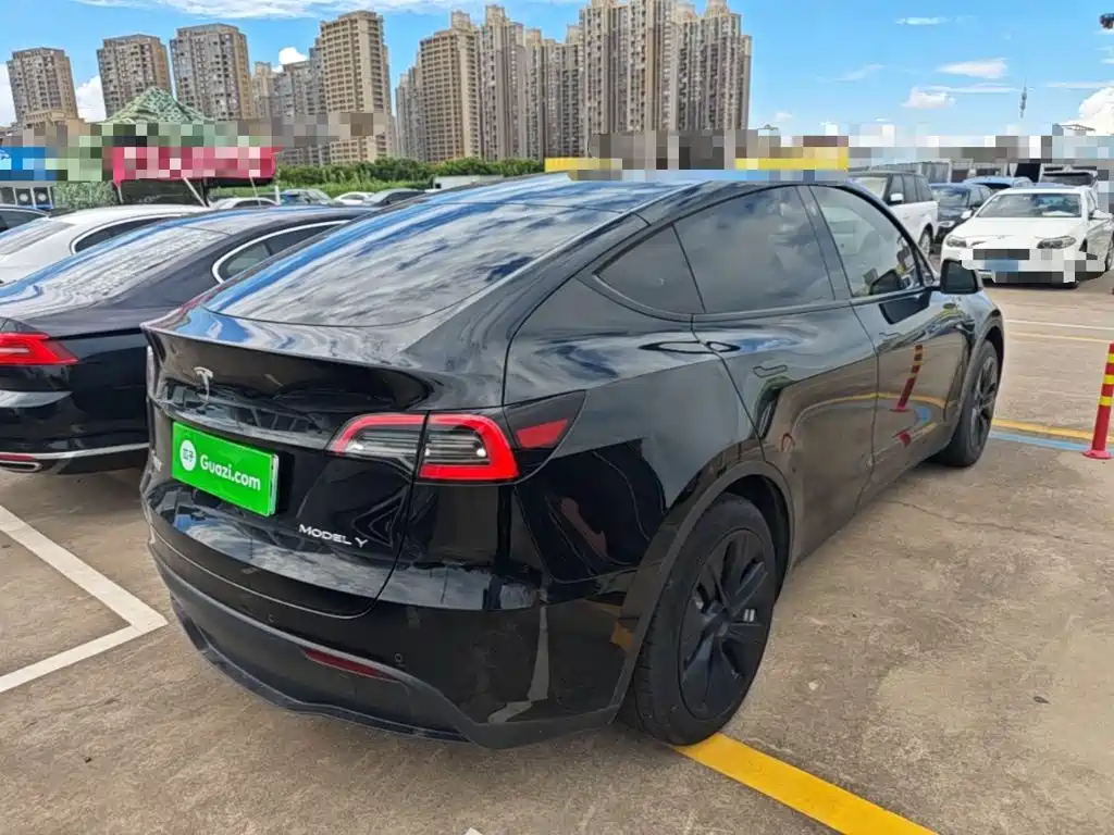 Tesla Model Y — миниатюра 7