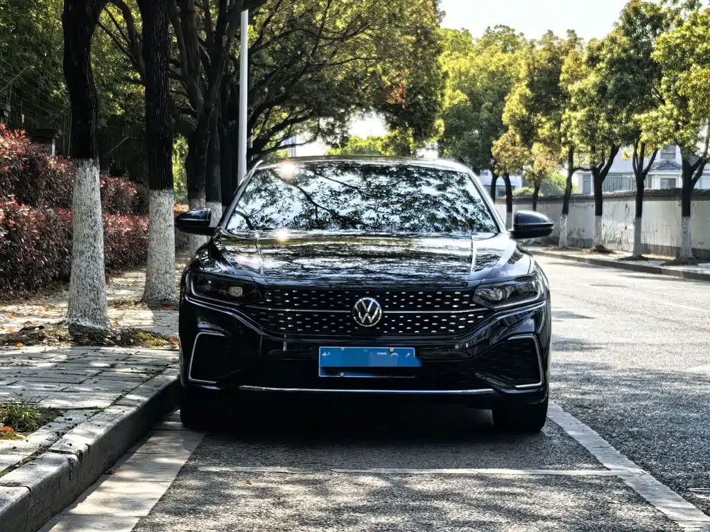 Volkswagen Passat — миниатюра 2