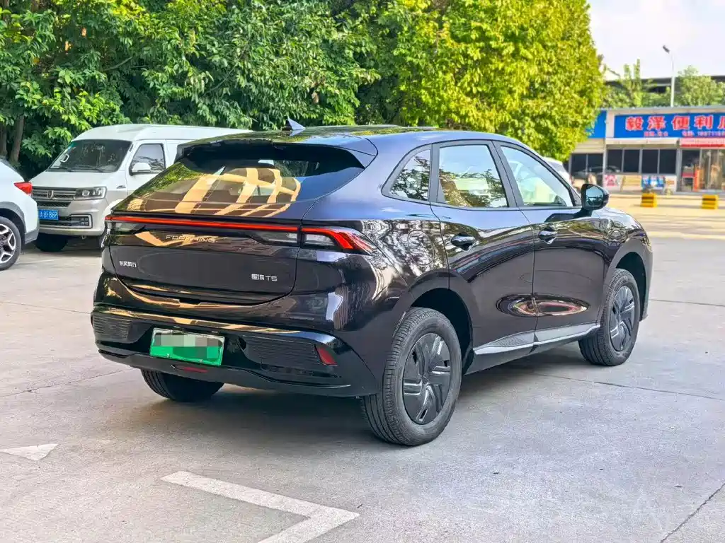 Fengxing Xinghai X5 — миниатюра 9