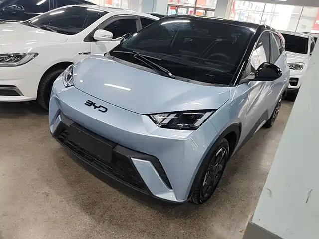 BYD Seagull