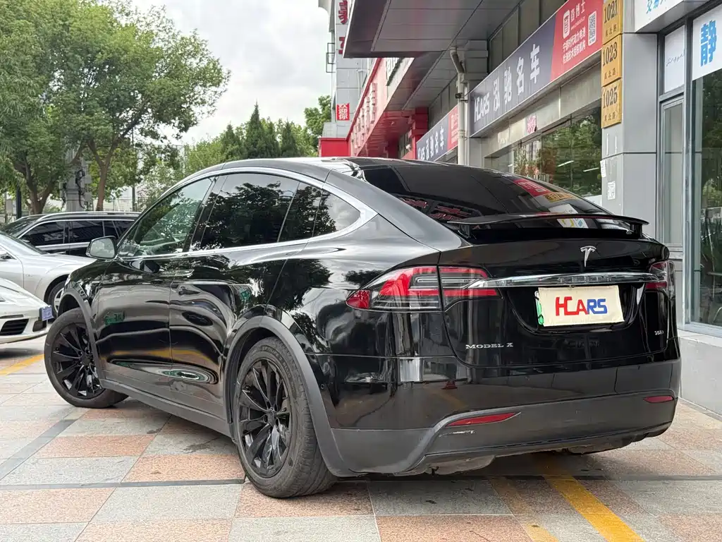 Tesla Model X — миниатюра 14