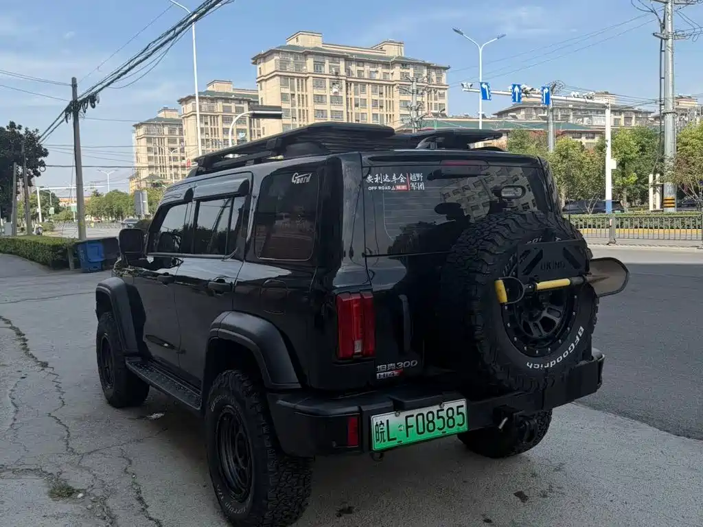 Tank Tank 300 New Energy — миниатюра 9