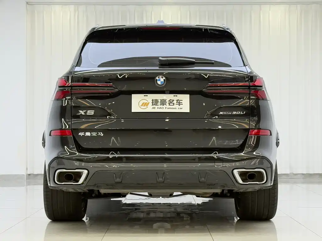 BMW X5 — миниатюра 16