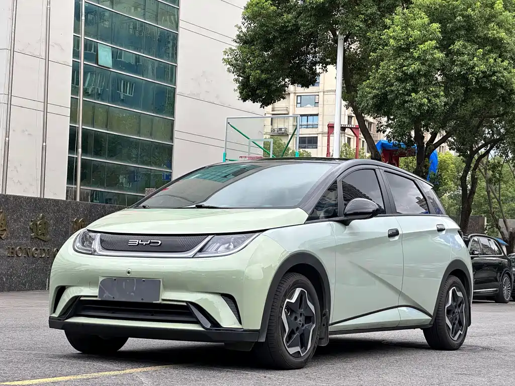 BYD Dolphin — миниатюра 3
