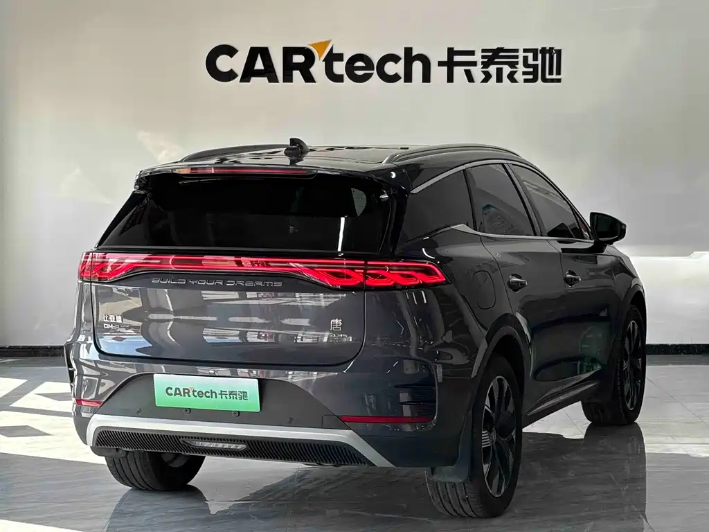 BYD Tang New Energy — миниатюра 13