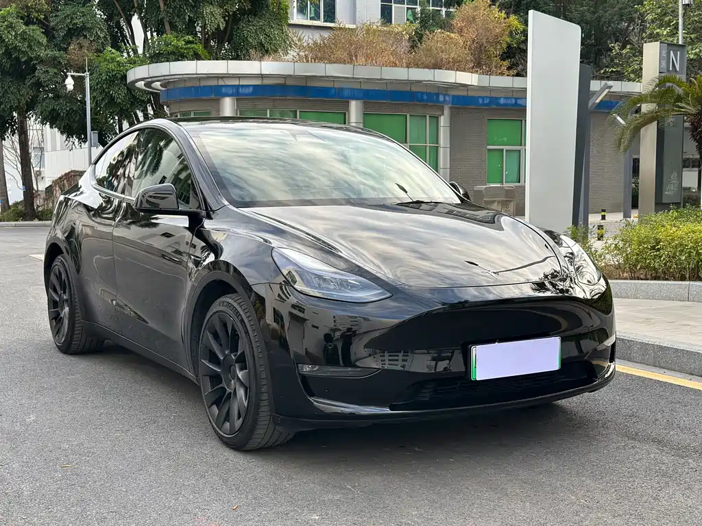 Tesla Model Y — миниатюра 3