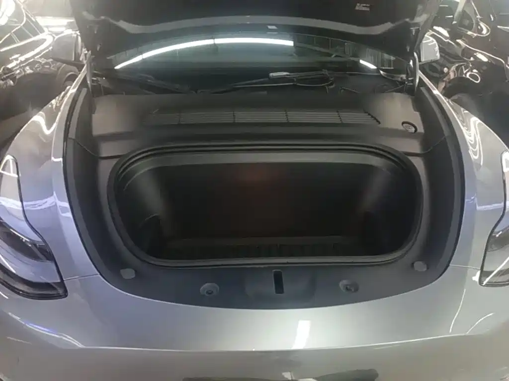 Tesla Model Y — миниатюра 20