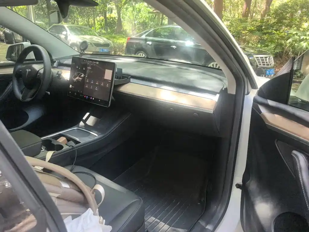 Tesla Model Y — миниатюра 19