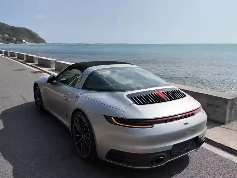 Porsche 911 — миниатюра 14