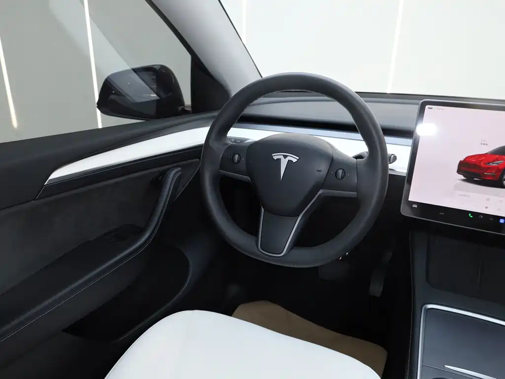 Tesla Model Y — миниатюра 23
