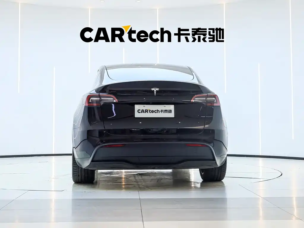 Tesla Model Y — миниатюра 4