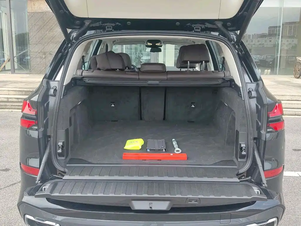 BMW X5 — миниатюра 8