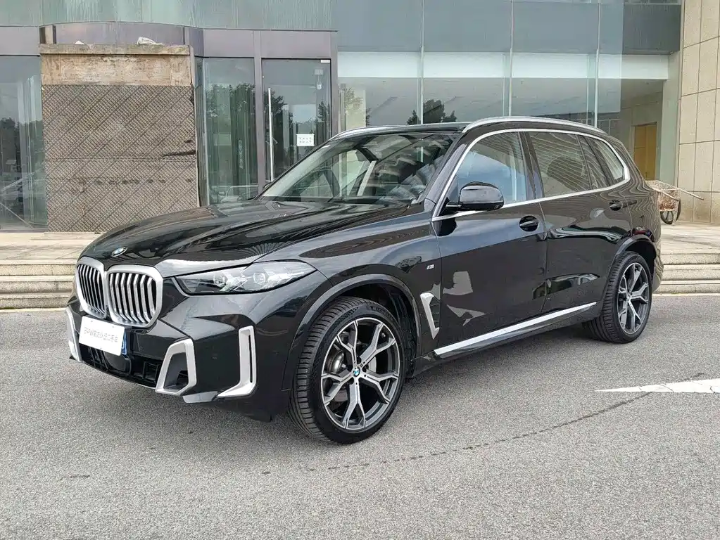 BMW X5 — миниатюра 3