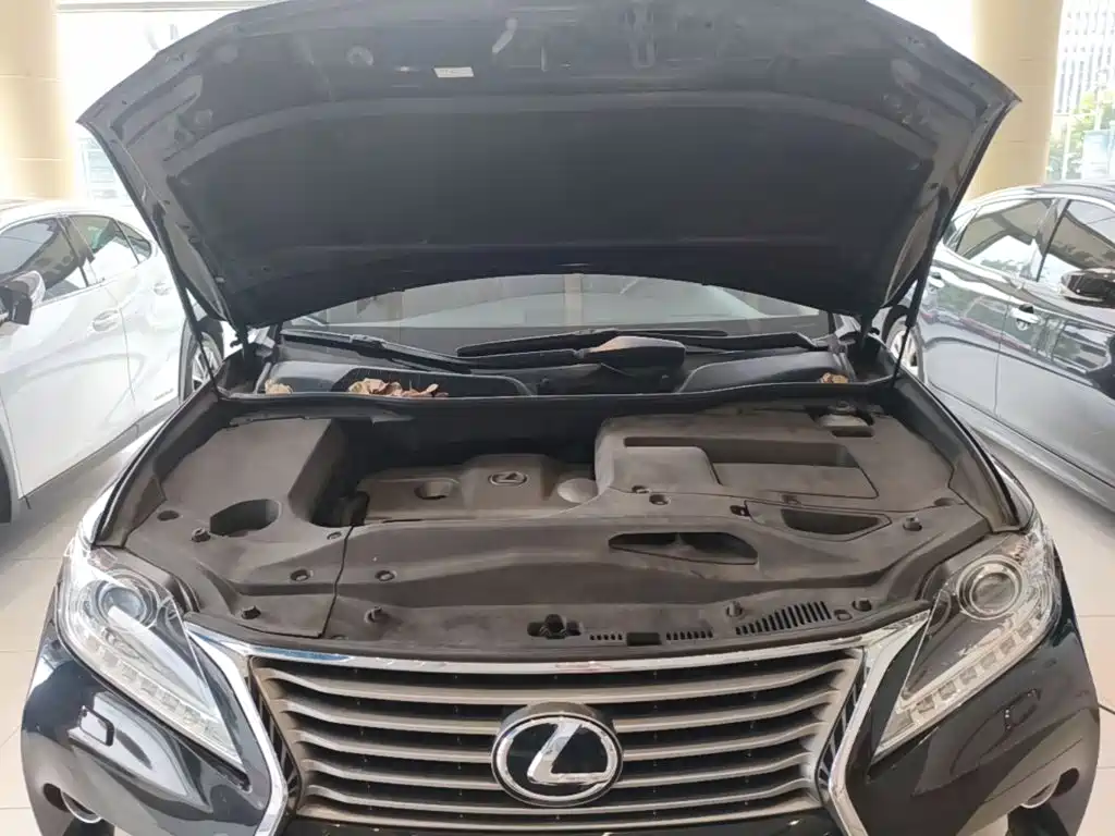 Lexus RX Classic — миниатюра 25