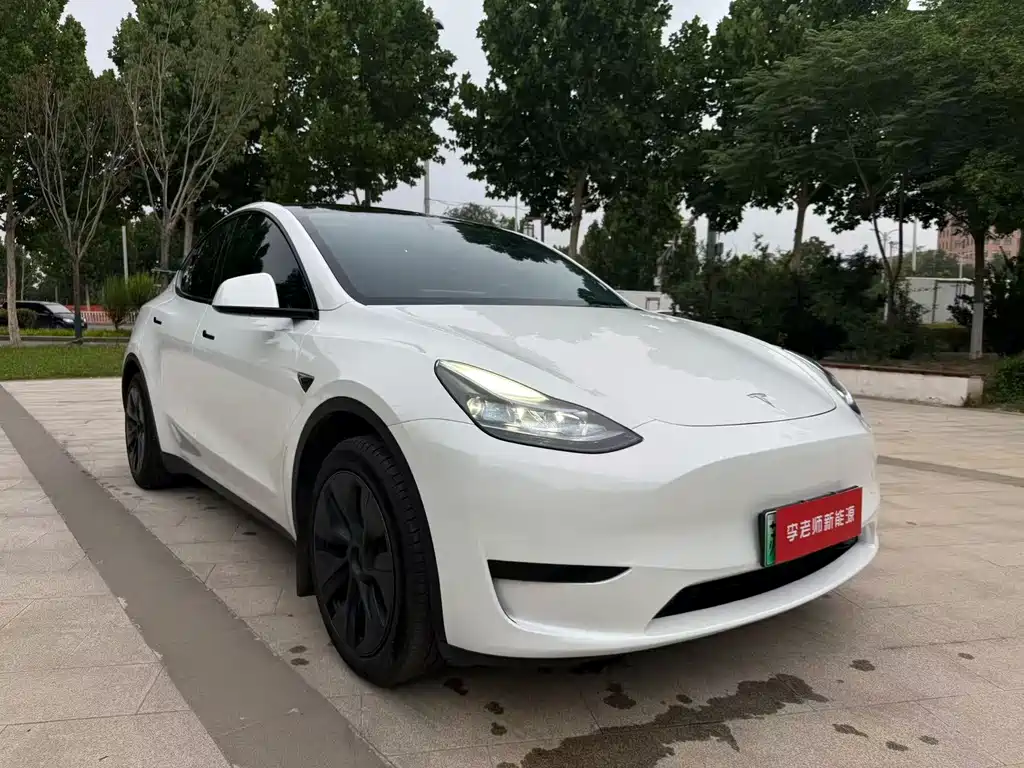 Tesla Model Y — миниатюра 2