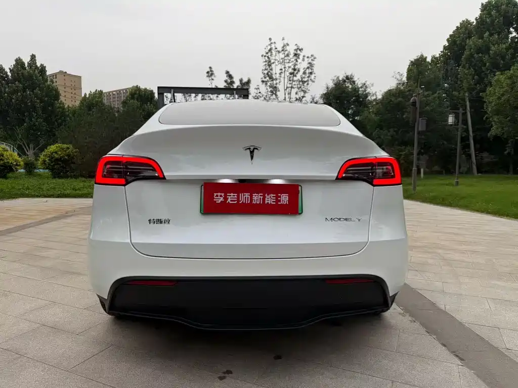 Tesla Model Y — миниатюра 6