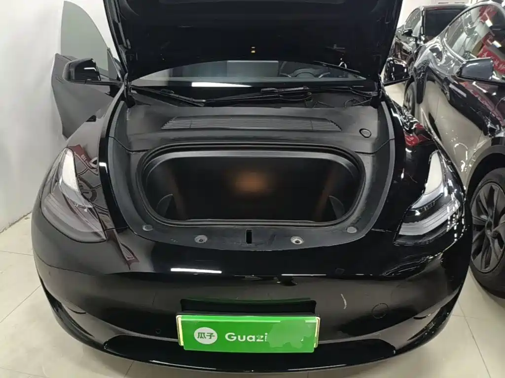 Tesla Model Y — миниатюра 20