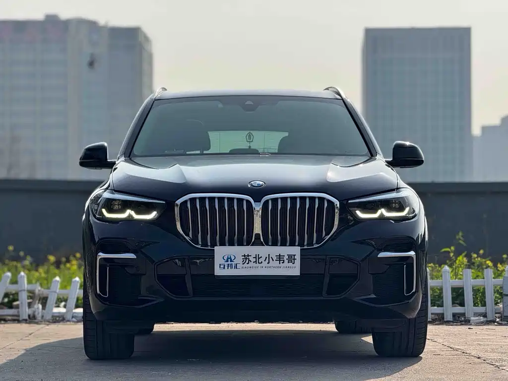 BMW X5 — миниатюра 2