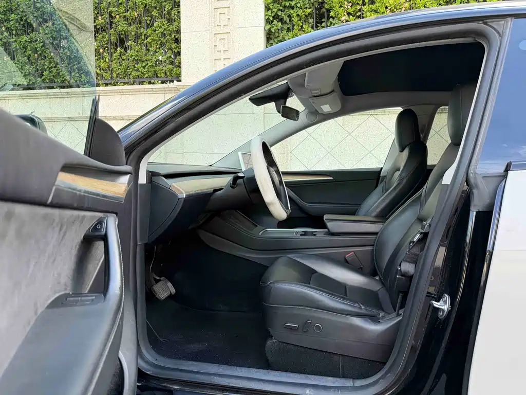 Tesla Model Y — миниатюра 6