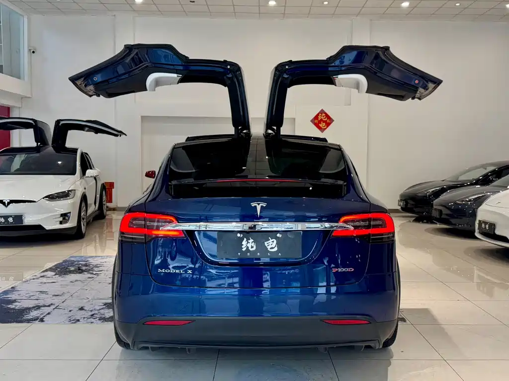 Tesla Model X — миниатюра 14