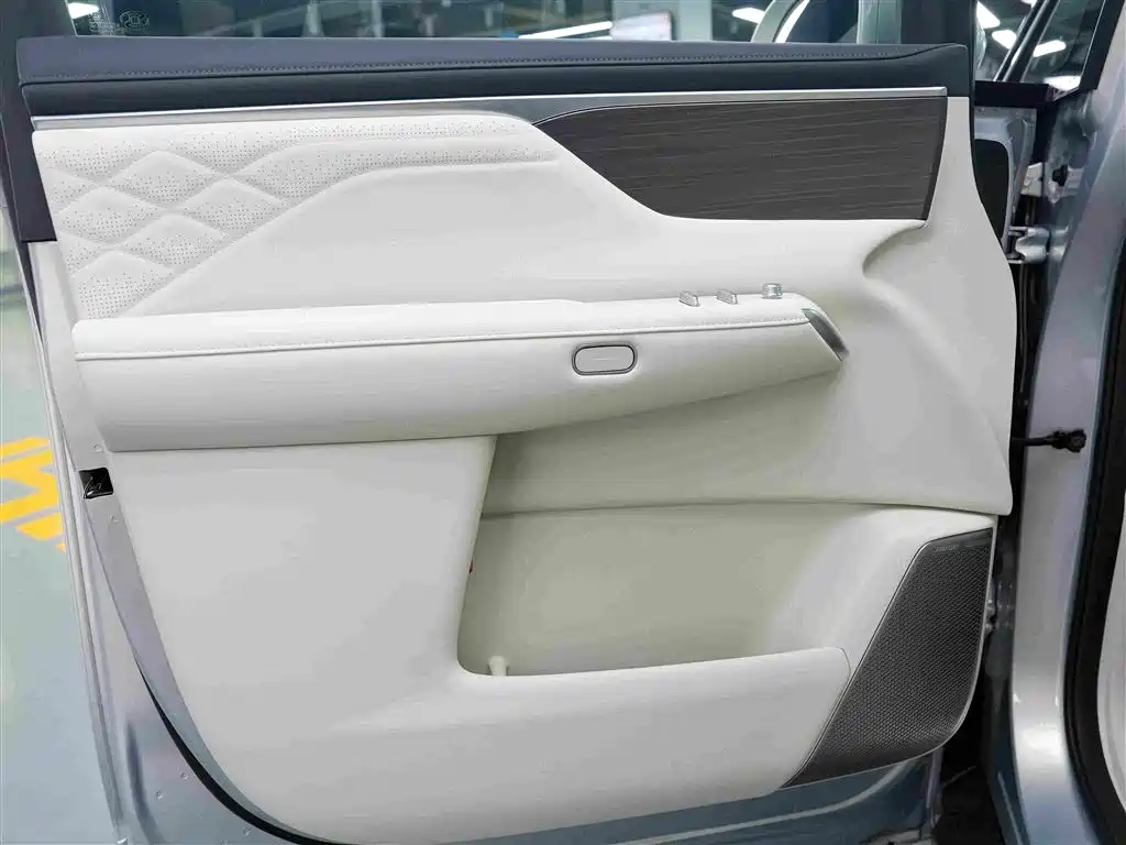 Buick Electra Encasa — миниатюра 9
