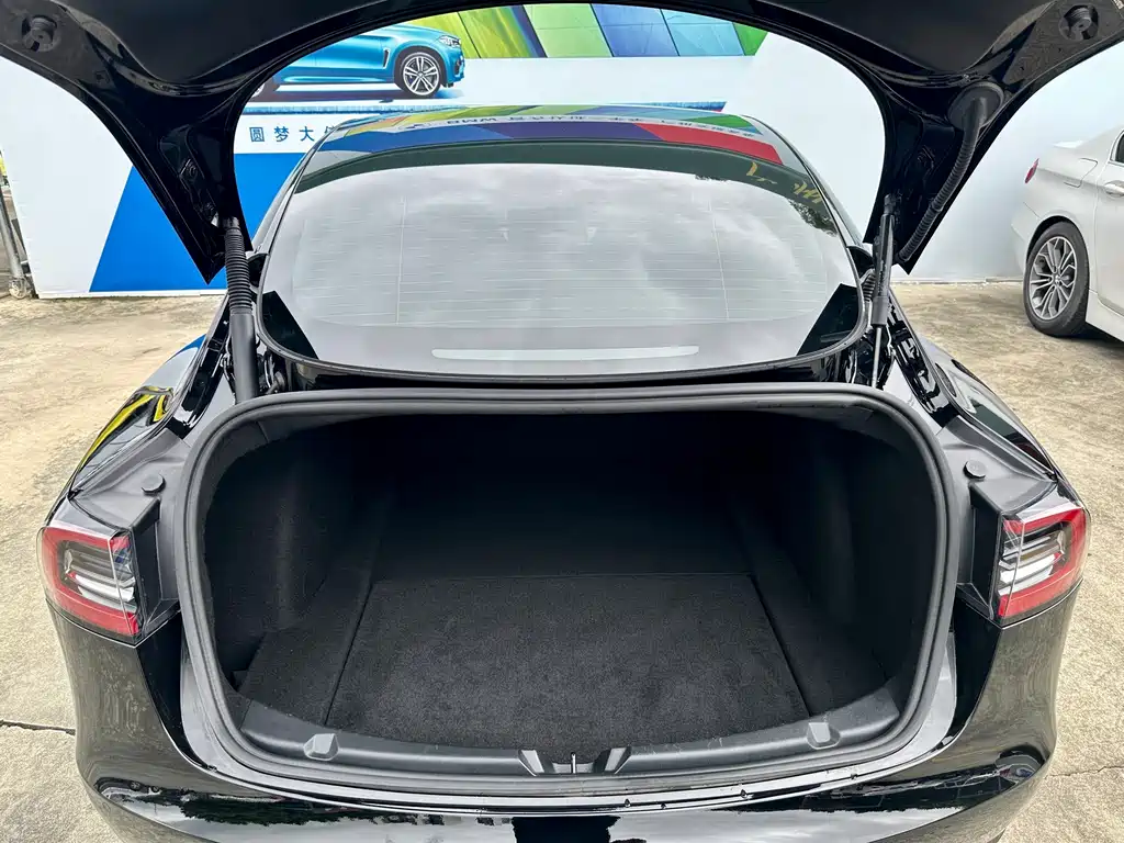 Tesla Model 3 — миниатюра 19