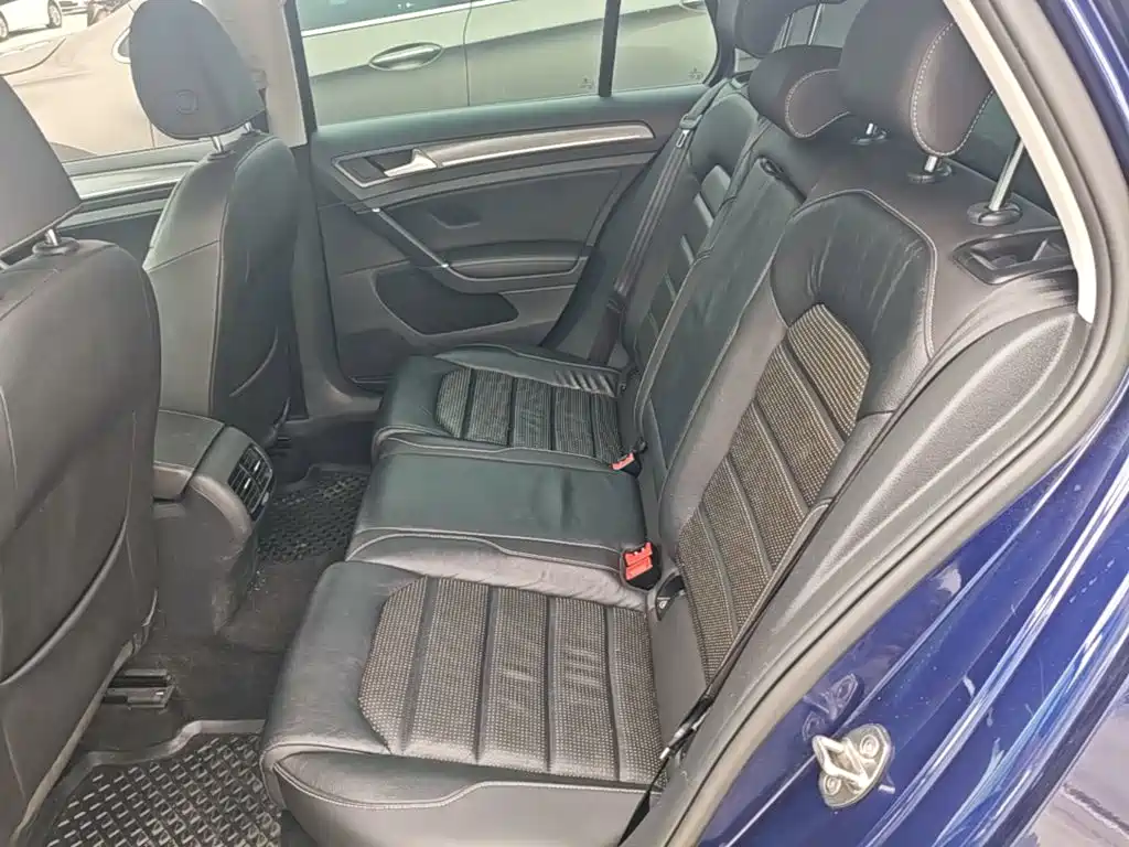 Volkswagen Golf New Energy (Import) — миниатюра 17