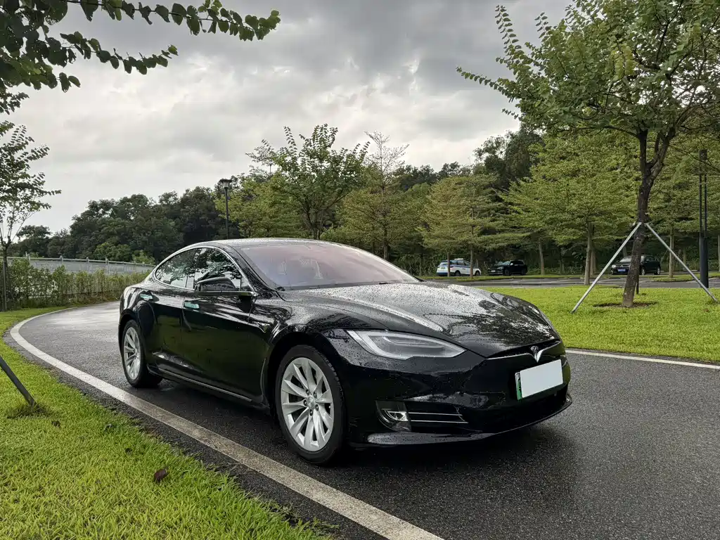 Tesla Model S — миниатюра 3