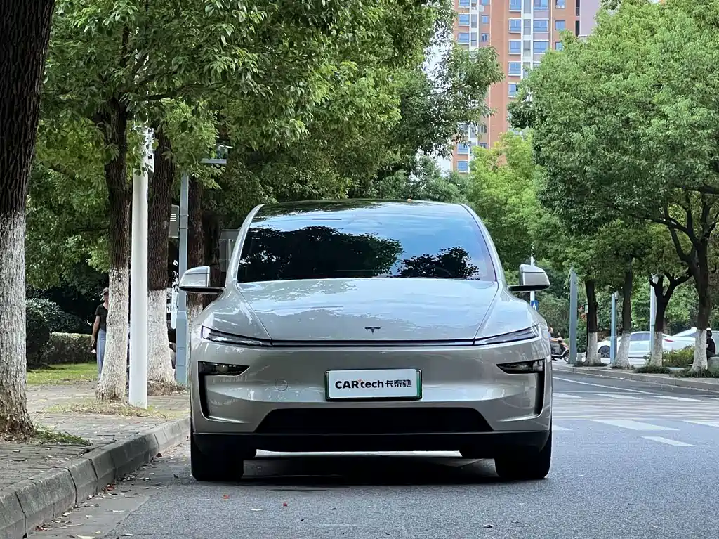 Tesla Model Y L — миниатюра 2