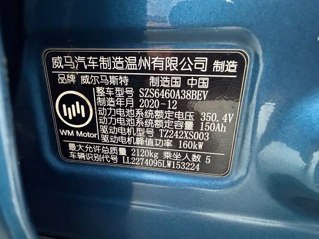 WM Motor EX5 — миниатюра 16