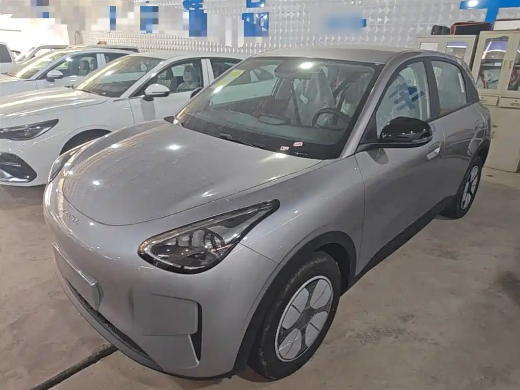 Geely Geome Xingyuan 2026 310km