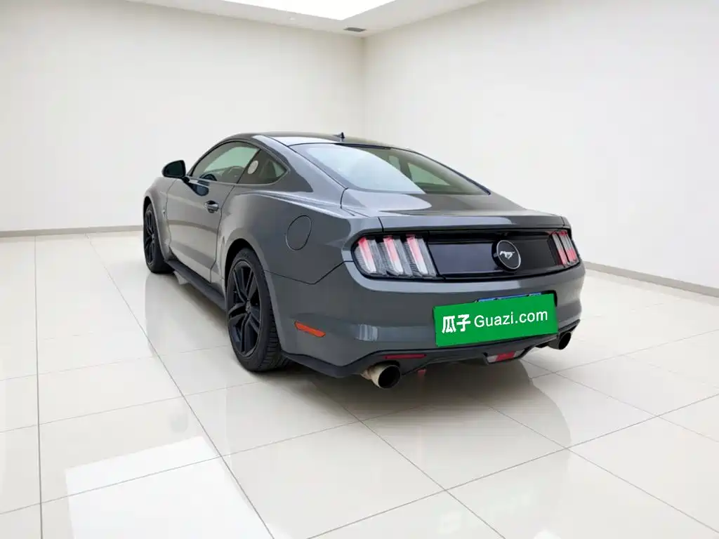 Ford Mustang — миниатюра 25