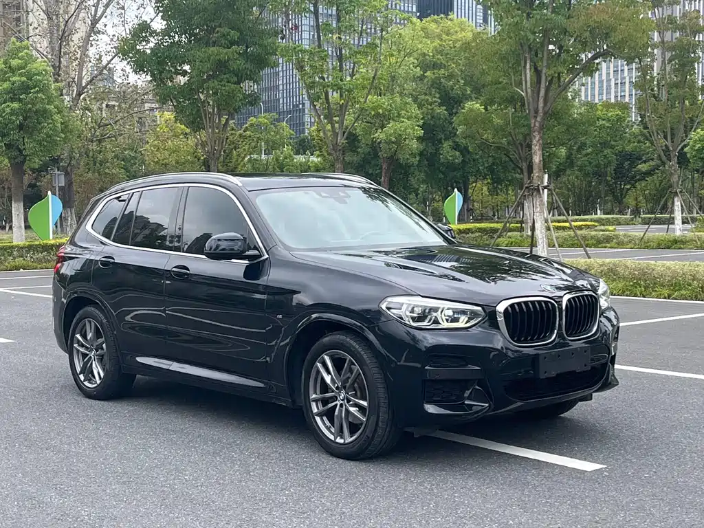 BMW X3 — миниатюра 3