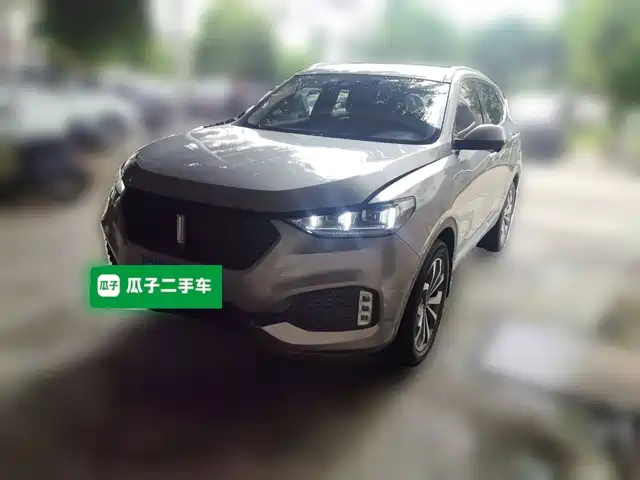 2019 Wey VV6