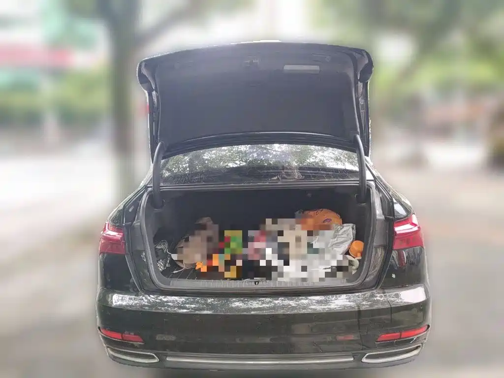 Audi A6L — миниатюра 15