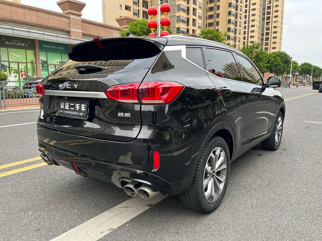 Wey Wey VV6 — миниатюра 5