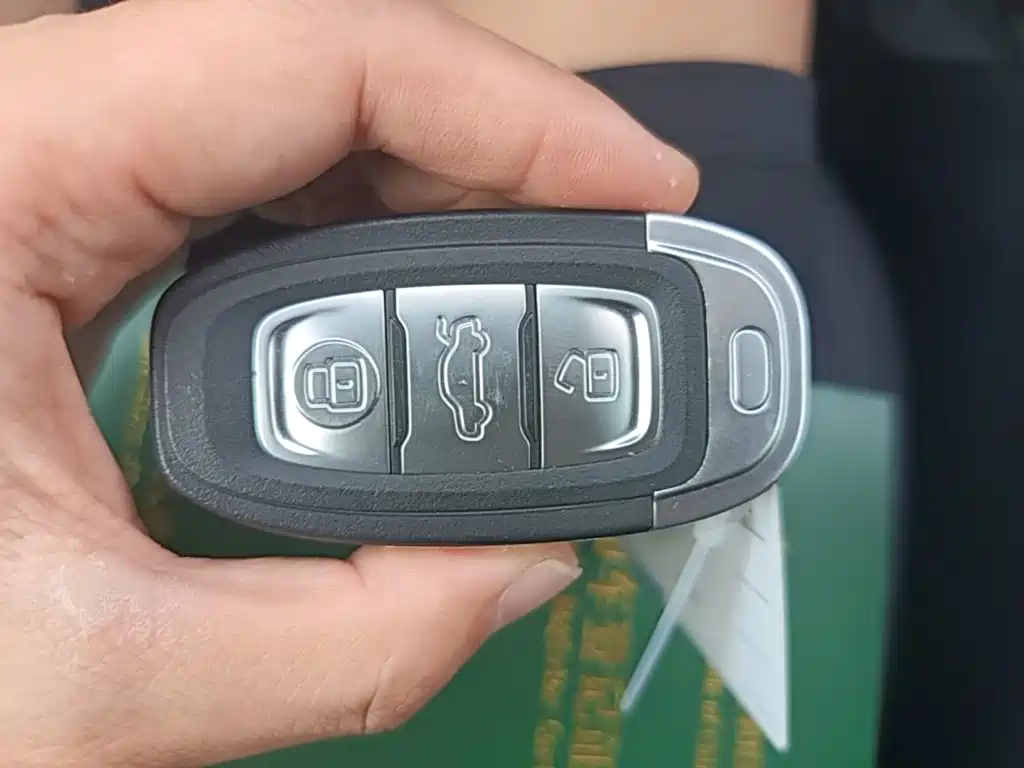 Hongqi Hongqi E-QM5 — миниатюра 13